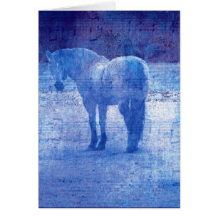 Equine pourpre