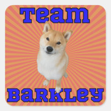 Équipe Barkley - Stickers Carré, Glossy