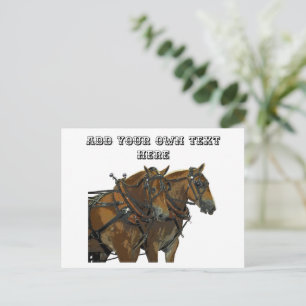 Équipe de chevaux belges Carte postale tout usage