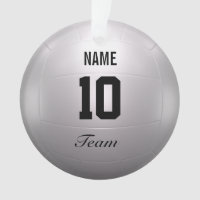Équipe de volleyball