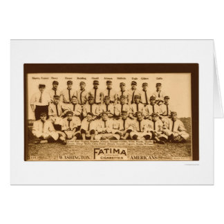 Équipe de Washington de baseball 1913