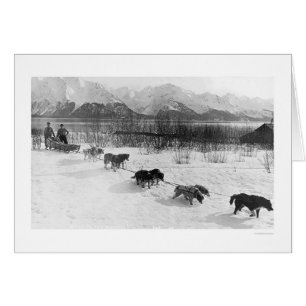 Équipe enrouée Alaska 1918 de chien