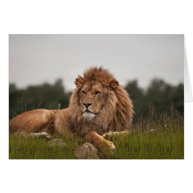 Équipez le son été une longue journée (Devant horizontal)