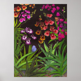 Equitant Oncidium Tolumnia Orchideen Print Poster