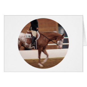 équitation anglaise