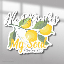Er aktualisiert mein Soul Psalm um 23:3 Uhr