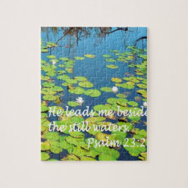 Er führt mich neben ruhigem Wasser