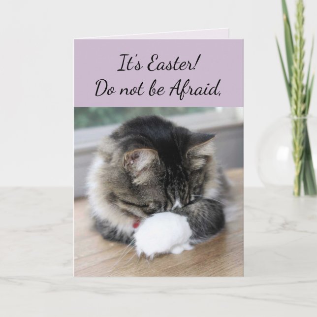 Er hat die "Kitten Osterkarte" Feiertagskarte (Vorderseite)
