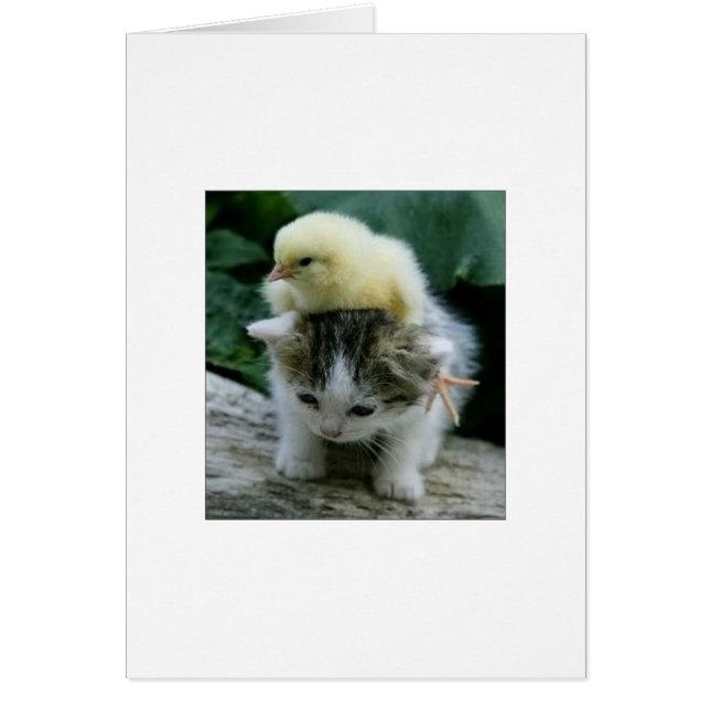 Er ist nicht schwer; er ist mein Bruder (Vorne)