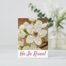 "Er ist Risen" Auferstehung Sonntag Postkarte
