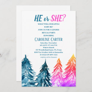 Er oder sie Junge oder Mädchen Winter Baby Dusche Einladung