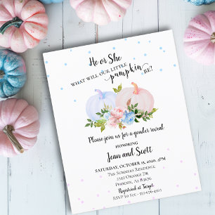 Er oder sie rosa Blue Pumpkin Gender Offenbarung H