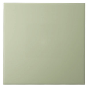 ER Sage Green bfc6a3 FN Fliese