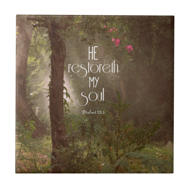 Er stellt mein Soul Bibelverse wieder her Fliese (Vorderseite)