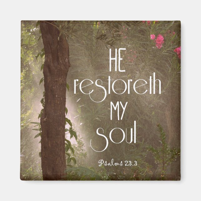 Er stellt mein Soul Bibelverse wieder her Magnet (Vorne)