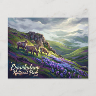 Eravikulam-Nationalpark Indien Postkarte