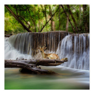 Erawan Wasserfall mit Hirsch Entspannen Poster