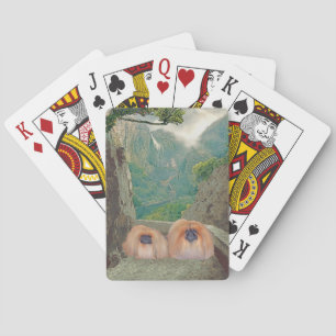 Erbe Spielkarten