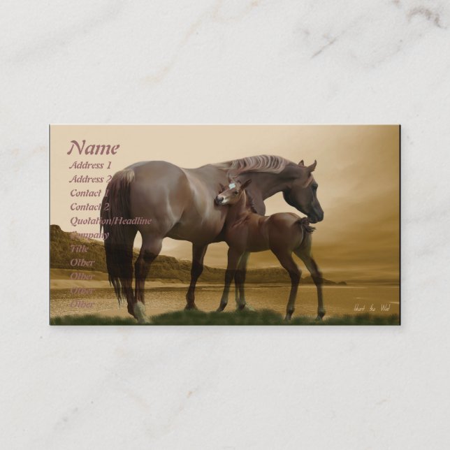 Erben Sie die Wind Business Card Visitenkarte (Vorderseite)