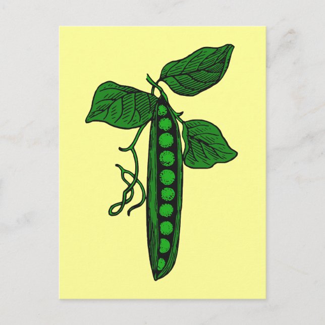 Erbsen im Pod Postkarte (Vorderseite)