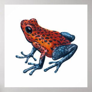 Erdbeer-Pfeilgiftfrosch Poster