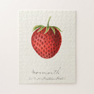 Erdbeere (Fragaria) Aquarellmalerei von Früchten