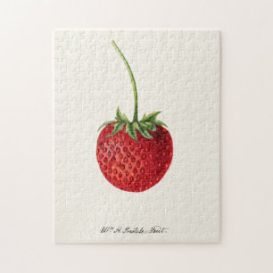 Erdbeere (Fragaria) Aquarellmalerei von Früchten