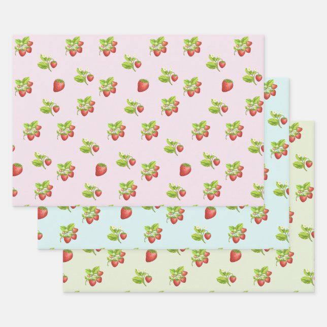 Erdbeere Frucht, Blätter und Blüten  (Set)