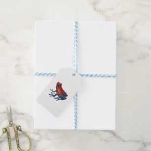 Erdbeere Giftdarmfrosch Geschenkanhänger