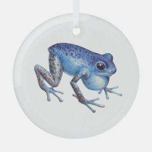Erdbeere Giftdarmfrosch Ornament Aus Glas
