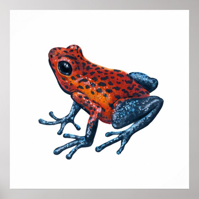 Erdbeere Giftdarmfrosch Poster (Vorne)