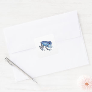 Erdbeere Giftdarmfrosch Quadratischer Aufkleber