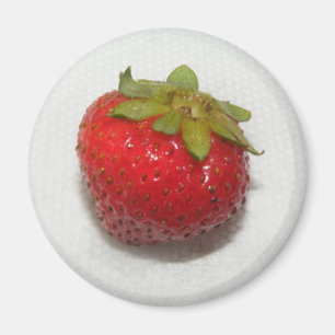 Erdbeere Magnet