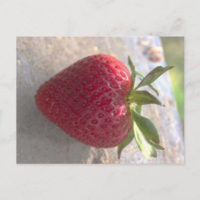 Erdbeere Postkarte (Vorderseite)