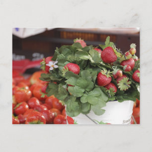 Erdbeere Postkarte