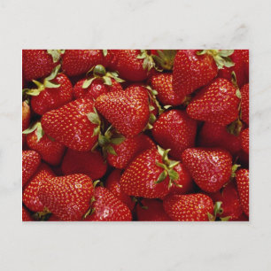 Erdbeeren-Foto Postkarte