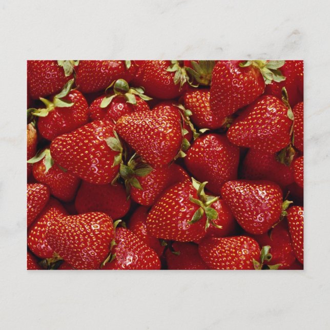 Erdbeeren-Foto Postkarte (Vorderseite)