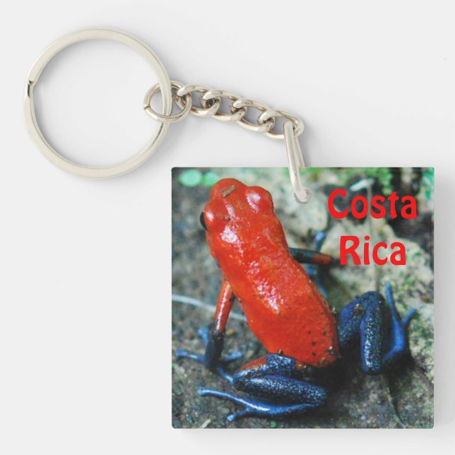 Erdbeeren Gift Dart Frosch in Costa Rica Schlüsselanhänger (Vorderseite)