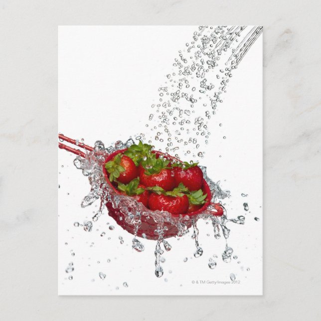 Erdbeeren in roter Farbe Postkarte (Vorderseite)