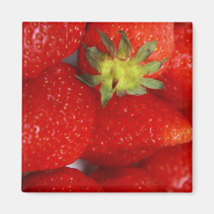 Erdbeeren! Magnet