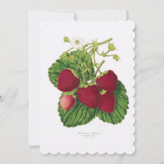Erdbeeren Nachmittag Nachmittag Einladung