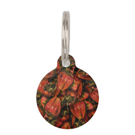 Erdbeeren Pet Tag Haustiermarke