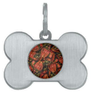 Erdbeeren Pet Tag Tiermarke