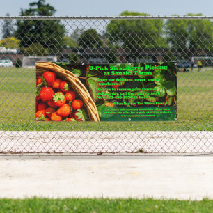 Erdbeeren pflücken auf dem U-Pick Erdbeerhof anpas Banner