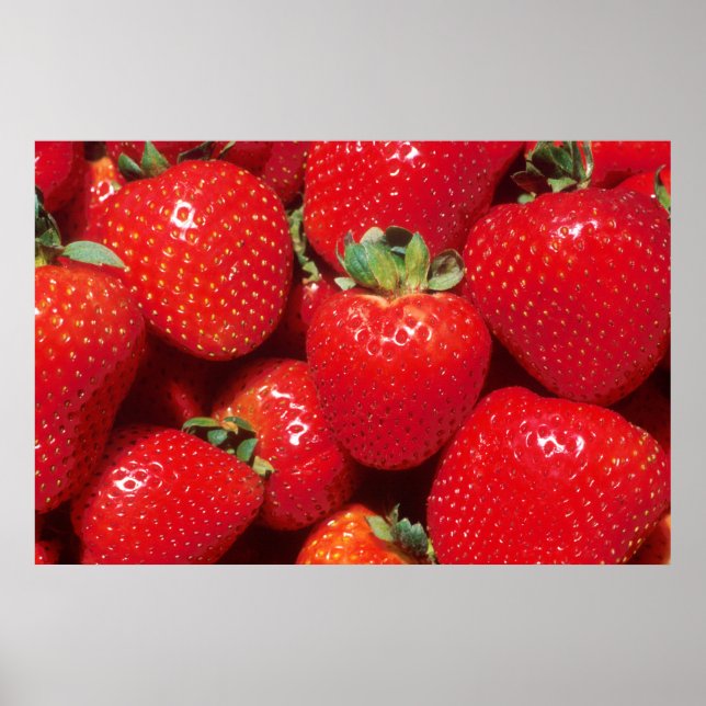Erdbeeren Poster (Vorne)