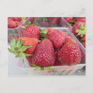 Erdbeeren Postkarte