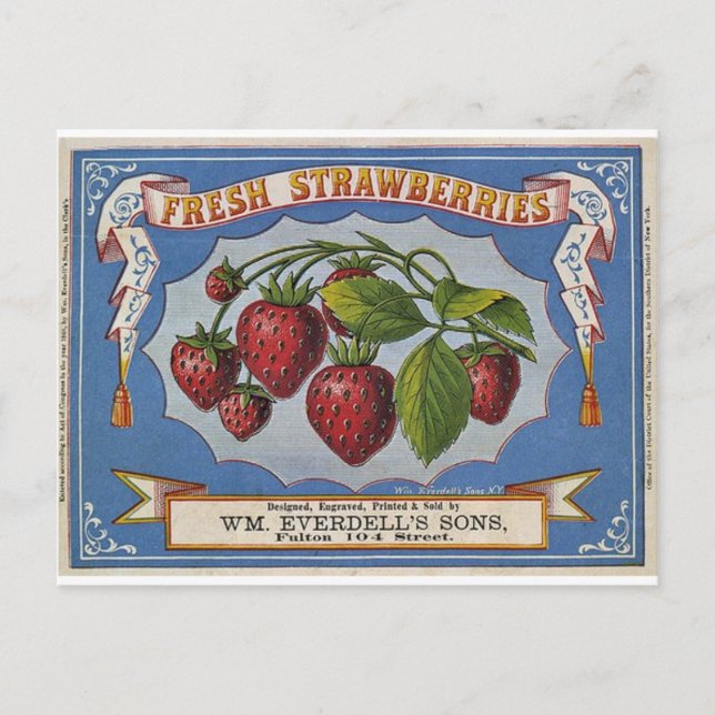 Erdbeeren Postkarte (Vorderseite)