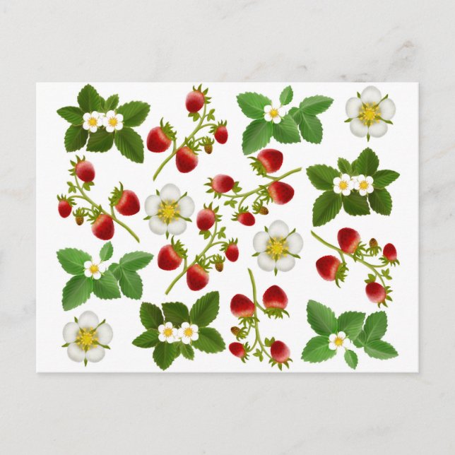 Erdbeeren Postkarte (Vorderseite)