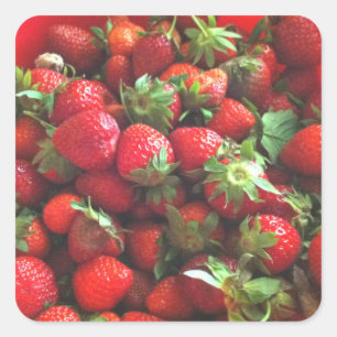 Erdbeeren Quadratischer Aufkleber