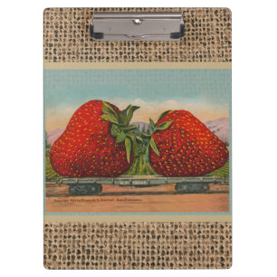 Erdbeeren Riesen Antike Obst Spaß Klemmbrett